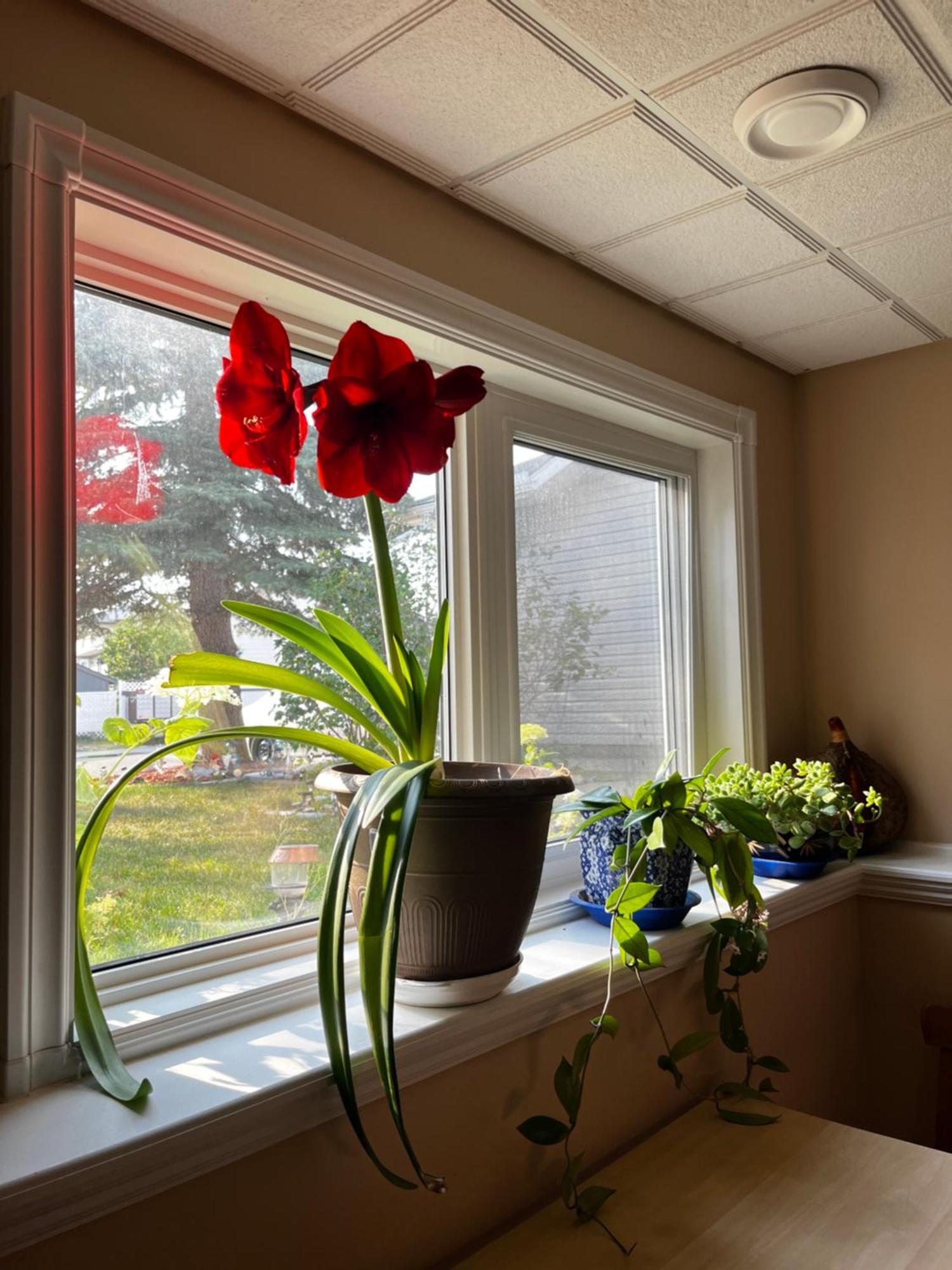 Citadel Hills Valley Calgary Luaran gambar